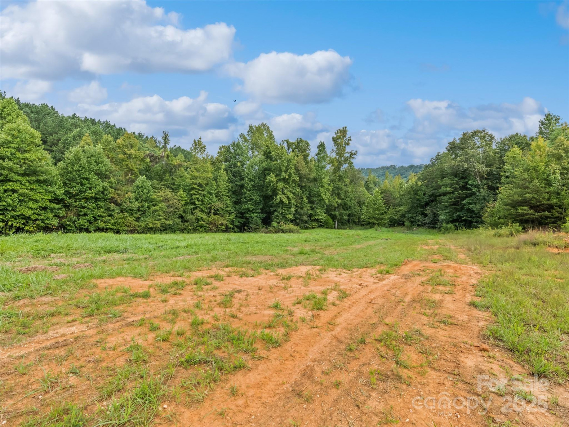 0000 Bostic Sunshine Highway - Photo 14