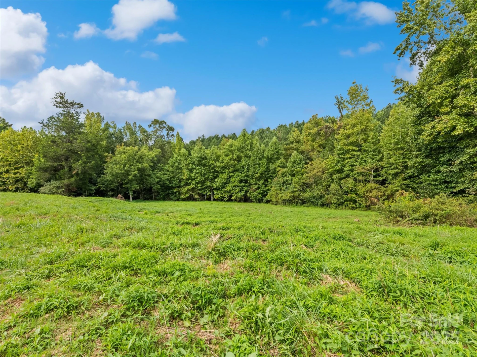 0000 Bostic Sunshine Highway - Photo 15