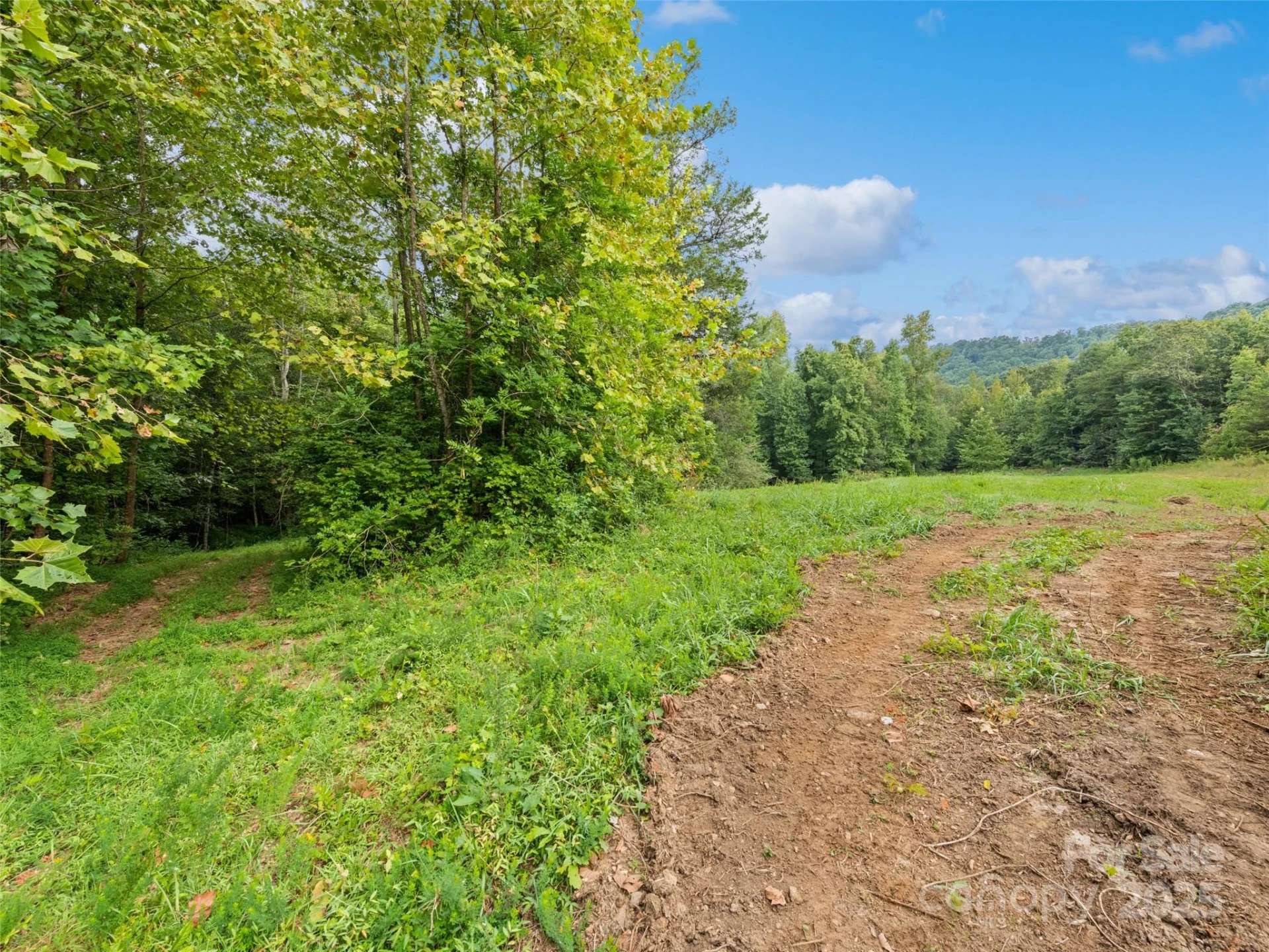 0000 Bostic Sunshine Highway - Photo 16