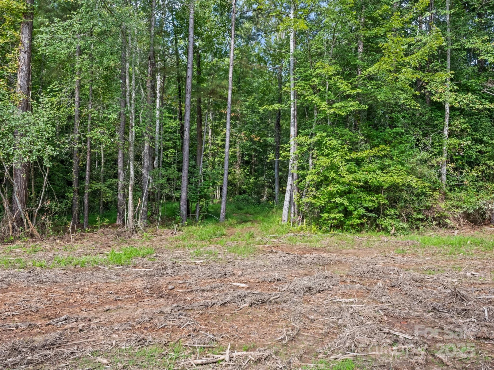 0000 Bostic Sunshine Highway - Photo 18