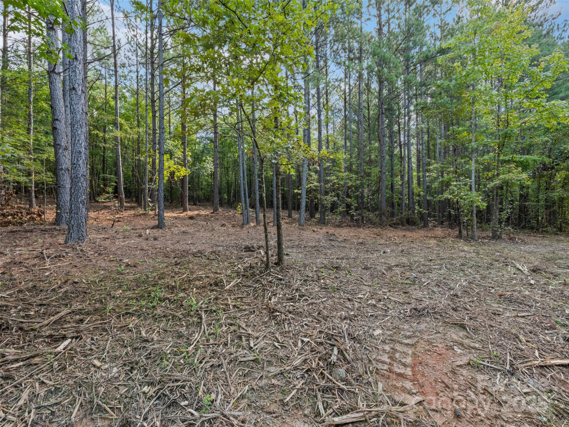 0000 Bostic Sunshine Highway - Photo 19