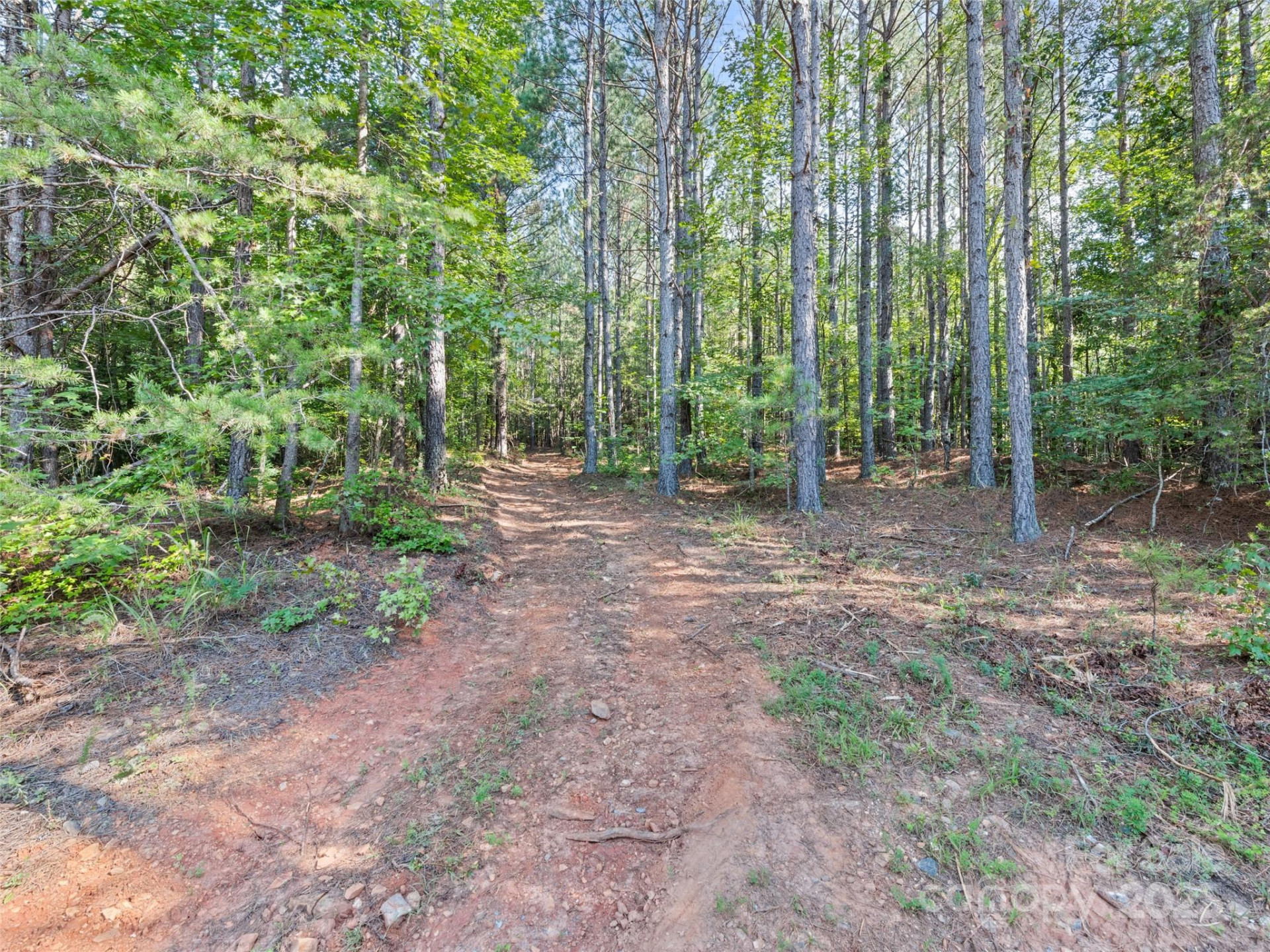 0000 Bostic Sunshine Highway - Photo 20