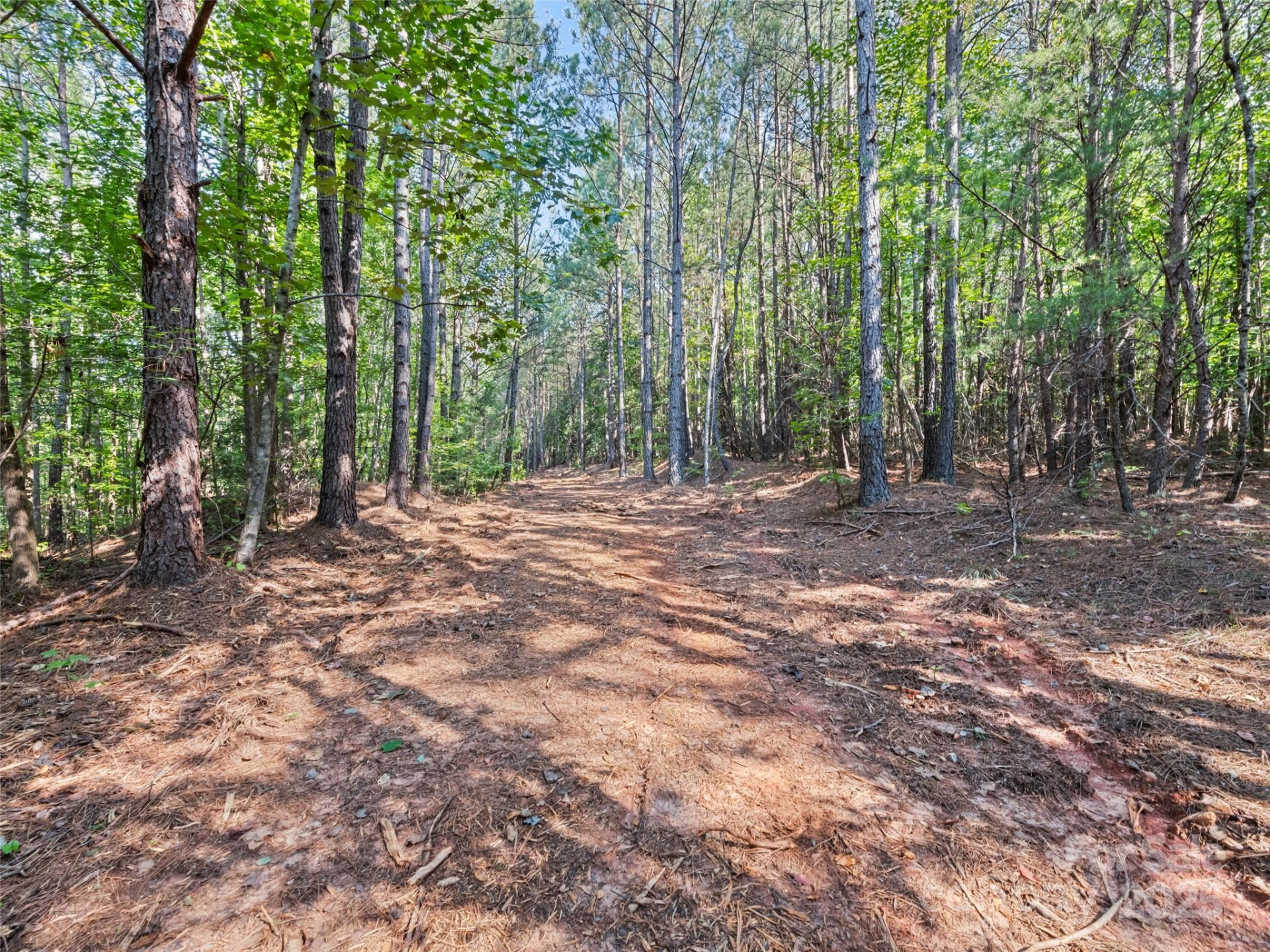 0000 Bostic Sunshine Highway - Photo 21