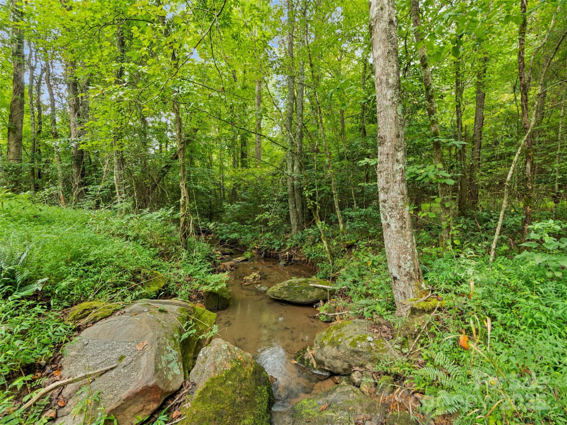 0000 Bostic Sunshine Highway - Photo 22