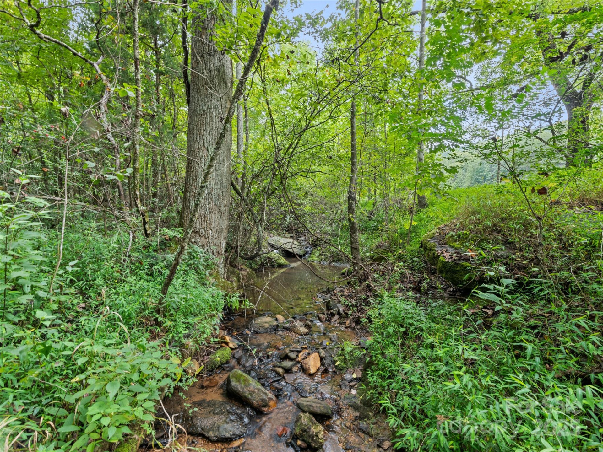 0000 Bostic Sunshine Highway - Photo 23