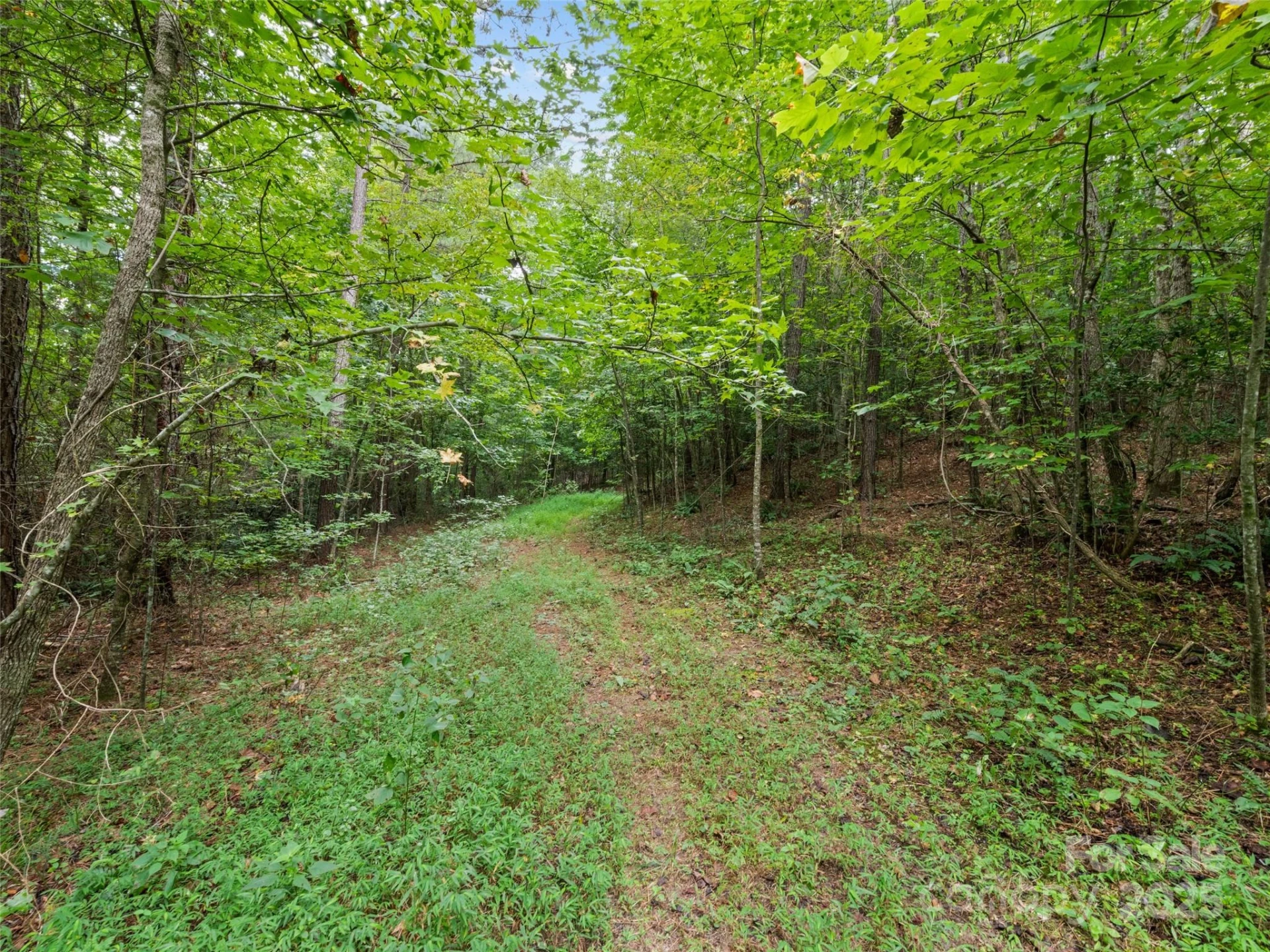 0000 Bostic Sunshine Highway - Photo 24