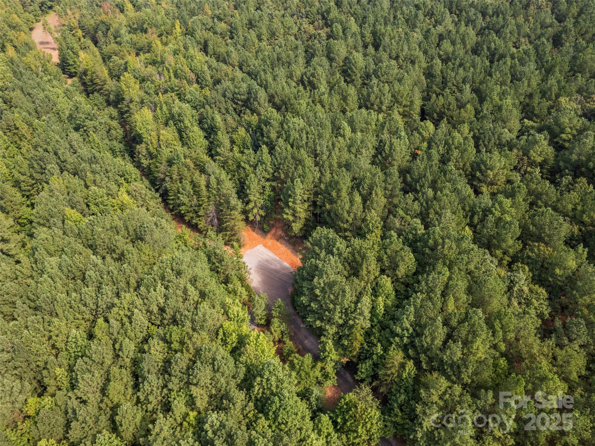 0000 Bostic Sunshine Highway - Photo 26