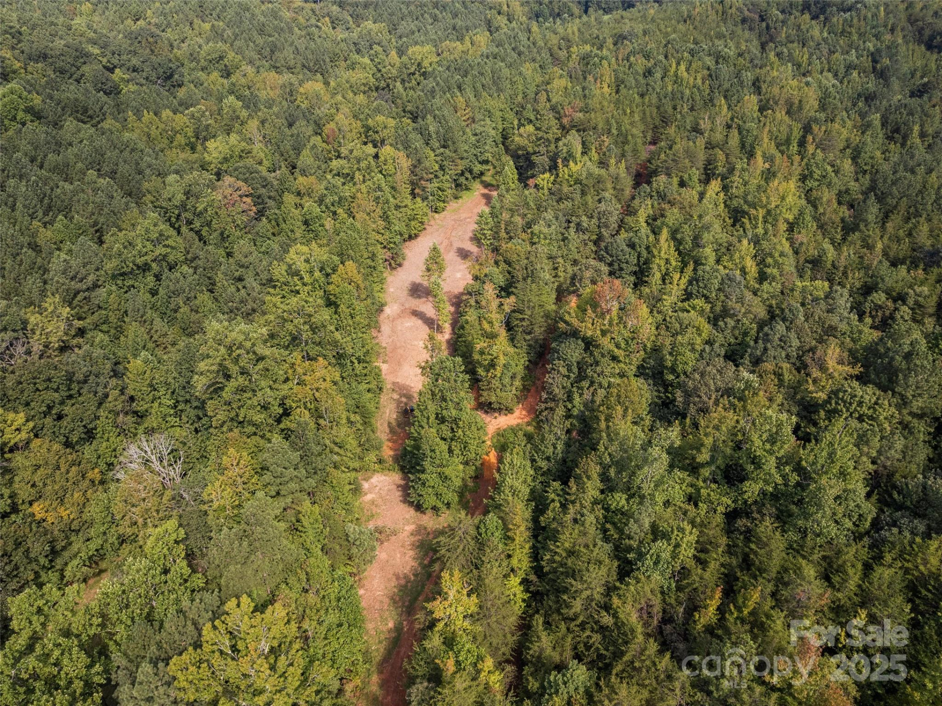 0000 Bostic Sunshine Highway - Photo 27