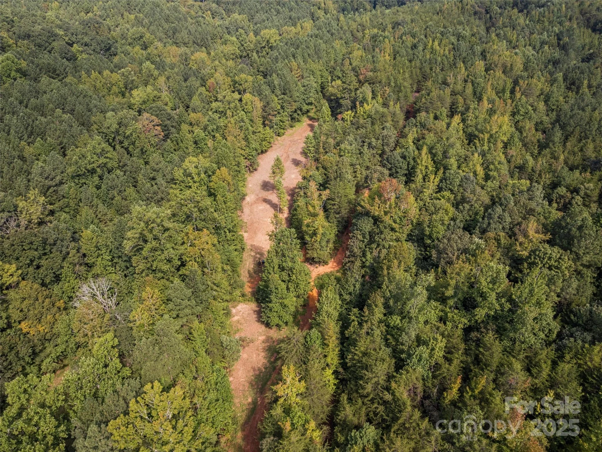0000 Bostic Sunshine Highway - Photo 27