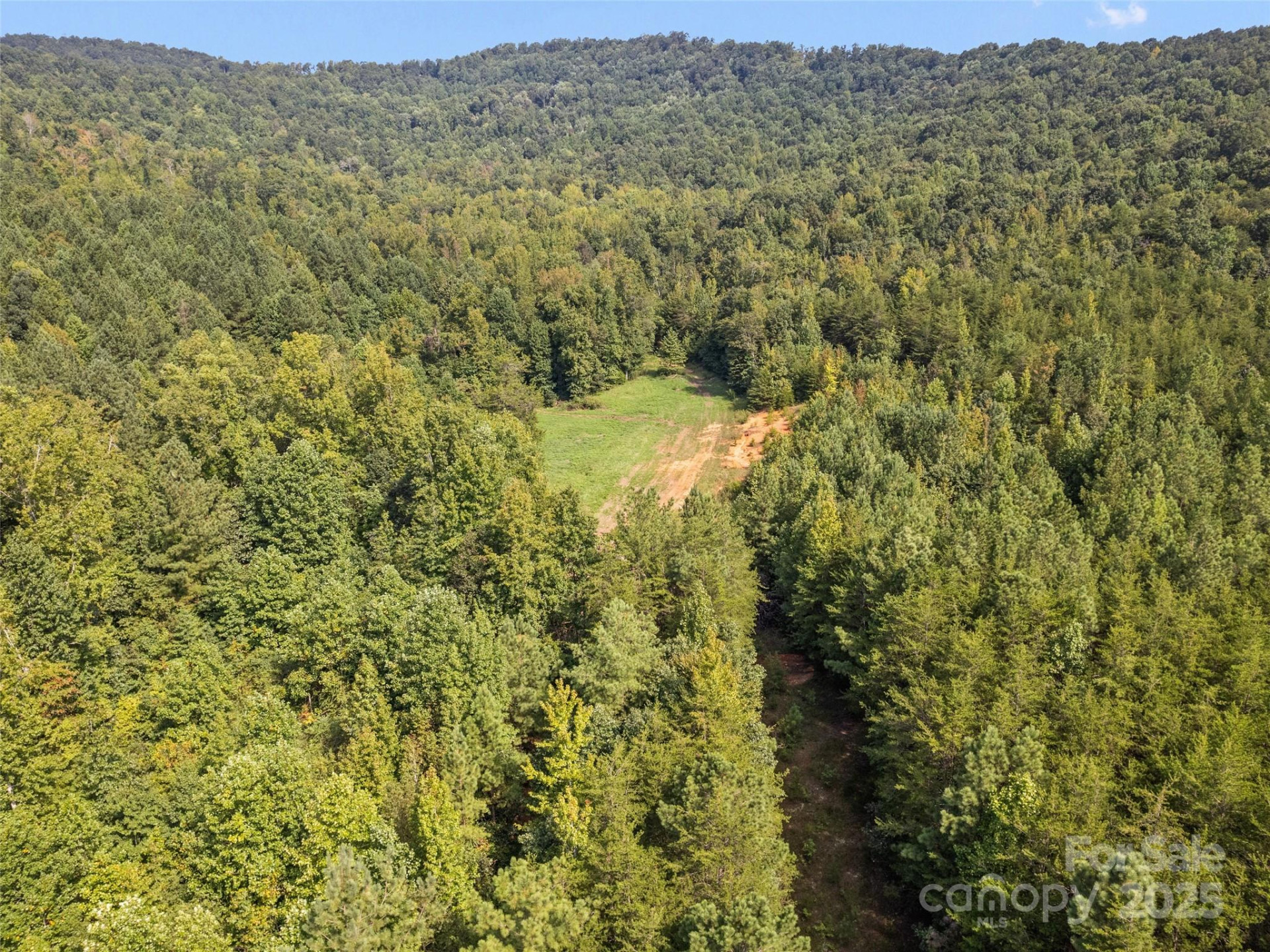 0000 Bostic Sunshine Highway - Photo 28