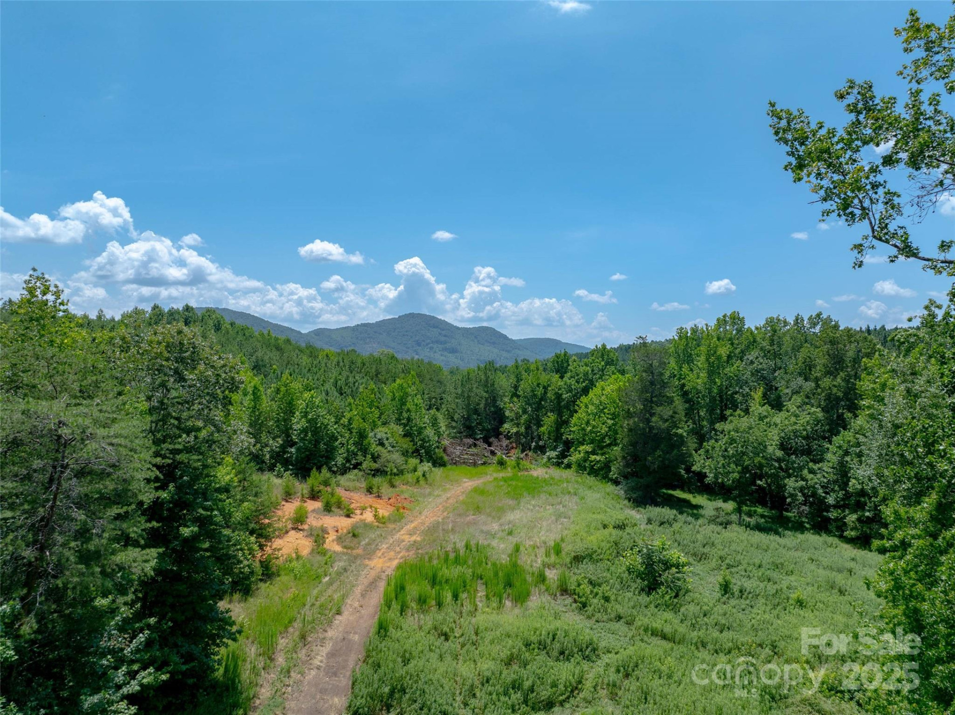 0000 Bostic Sunshine Highway - Photo 29