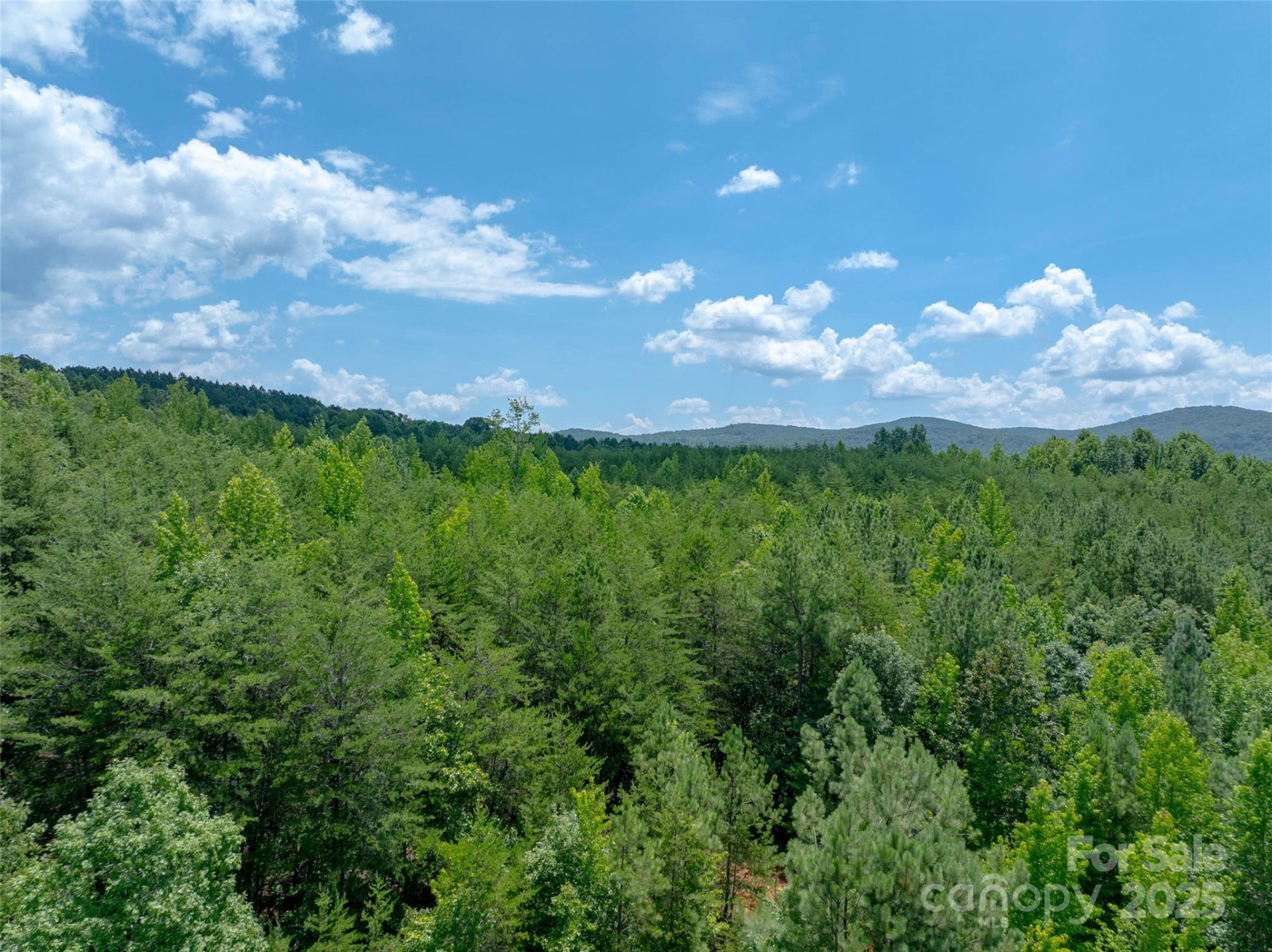 0000 Bostic Sunshine Highway - Photo 30