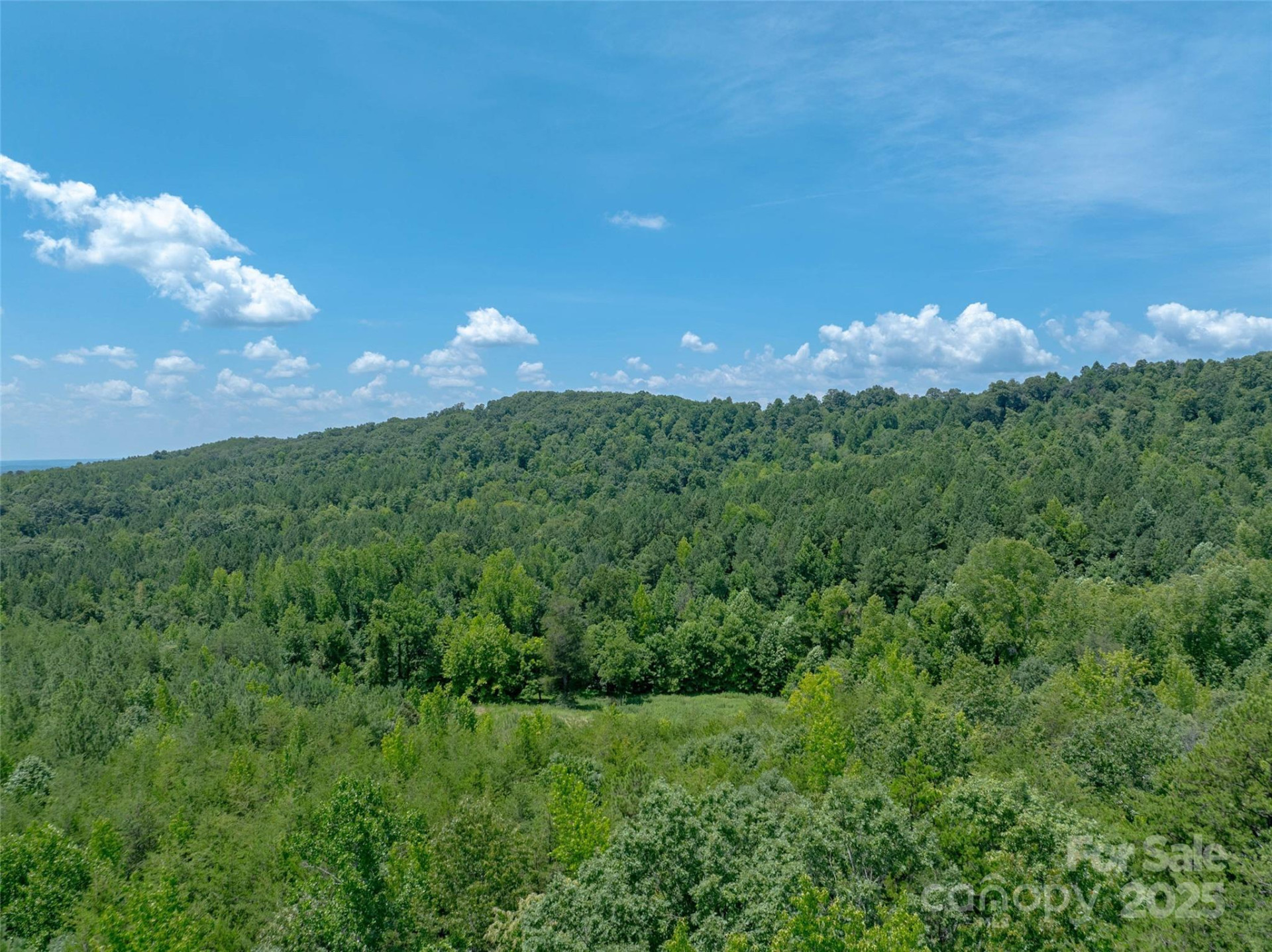 0000 Bostic Sunshine Highway - Photo 31