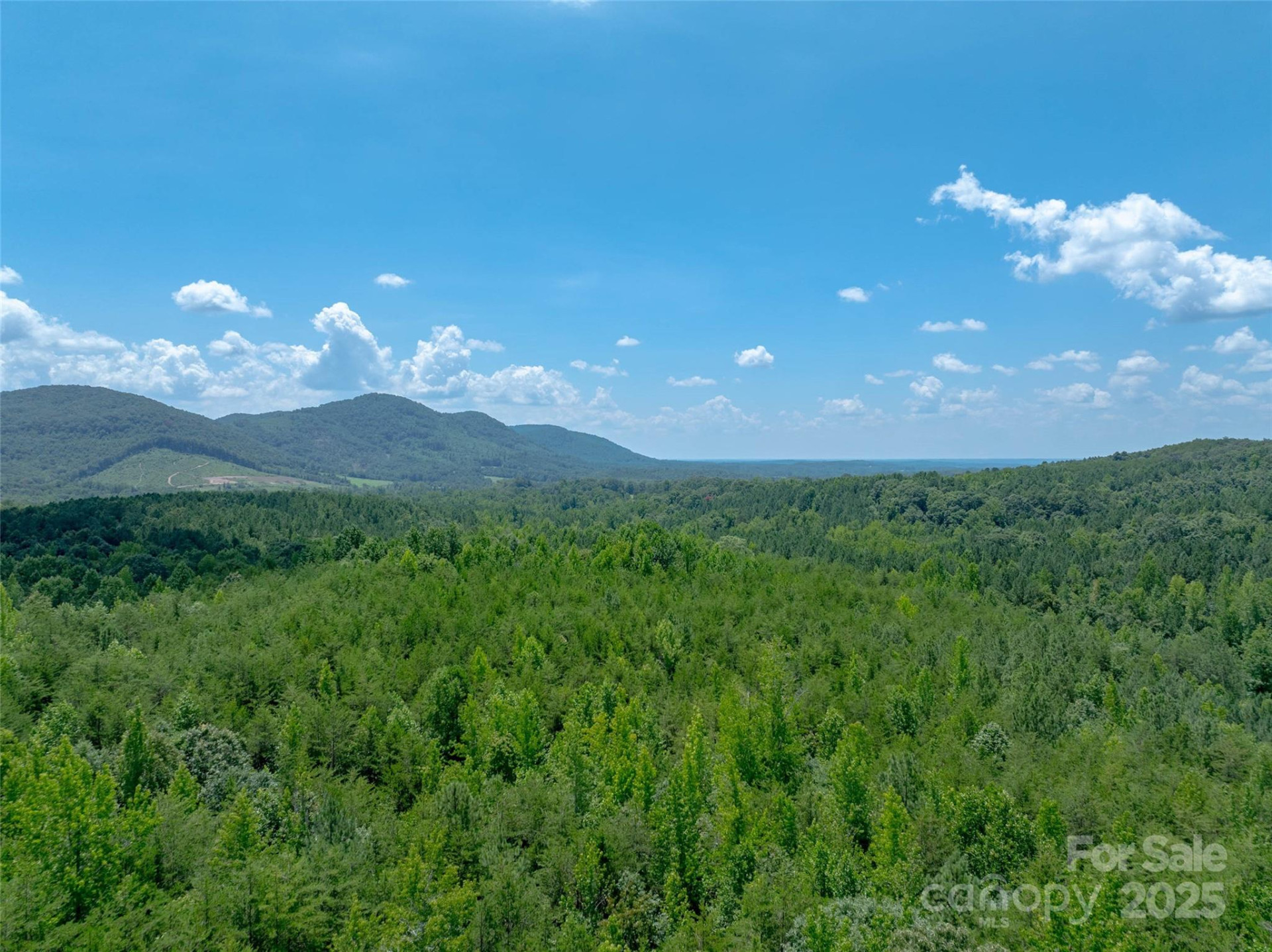 0000 Bostic Sunshine Highway - Photo 32