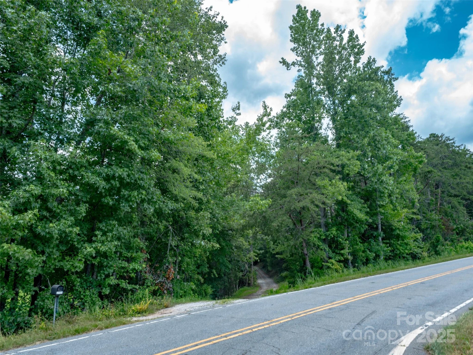 0000 Bostic Sunshine Highway - Photo 6