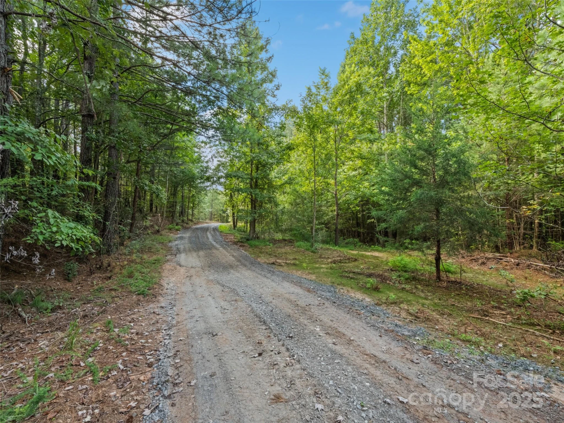 0000 Bostic Sunshine Highway - Photo 7