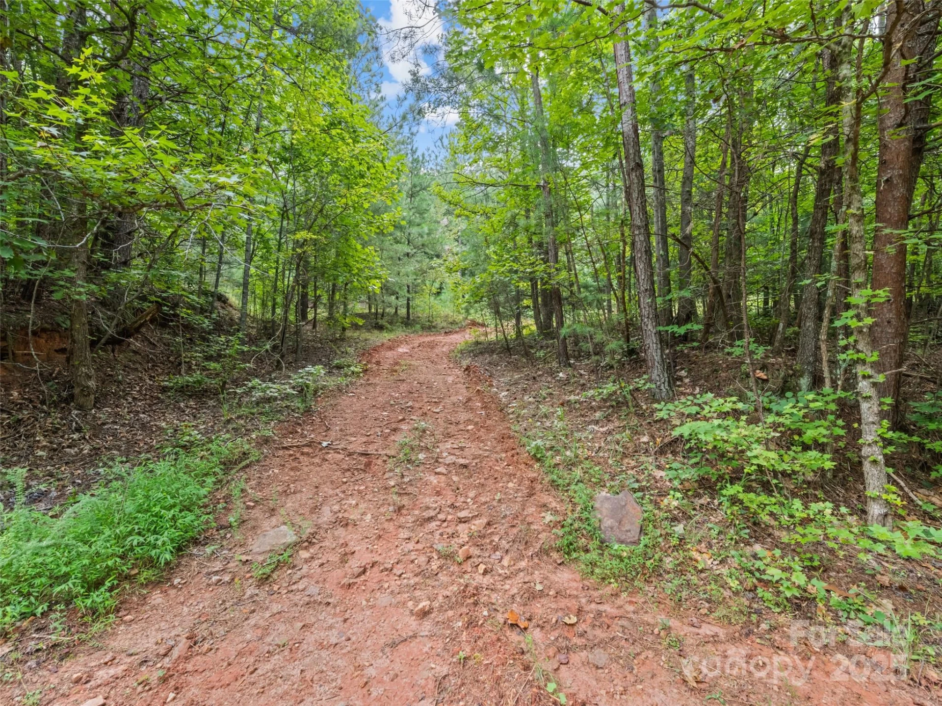 0000 Bostic Sunshine Highway - Photo 10