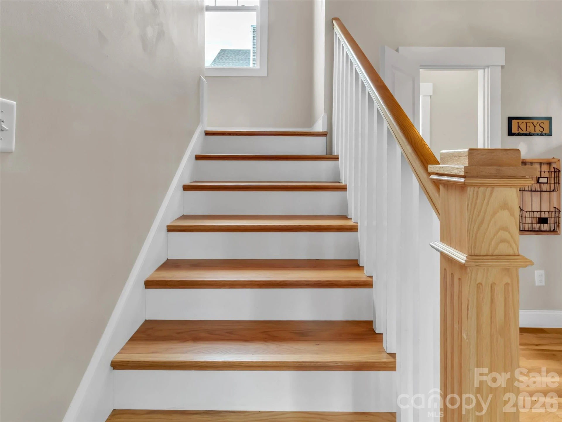 17 Elkmont Terrace - Photo 41