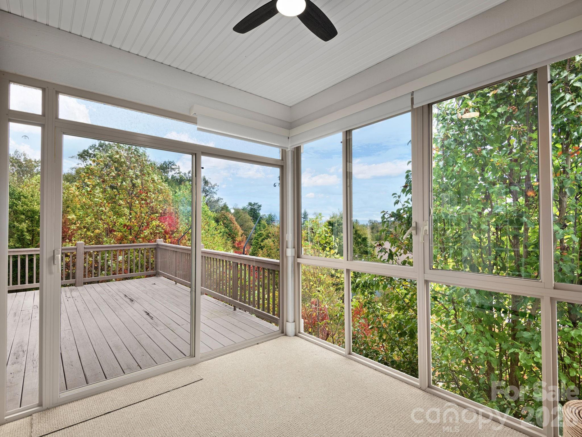78 Rose Creek Road - Photo 17