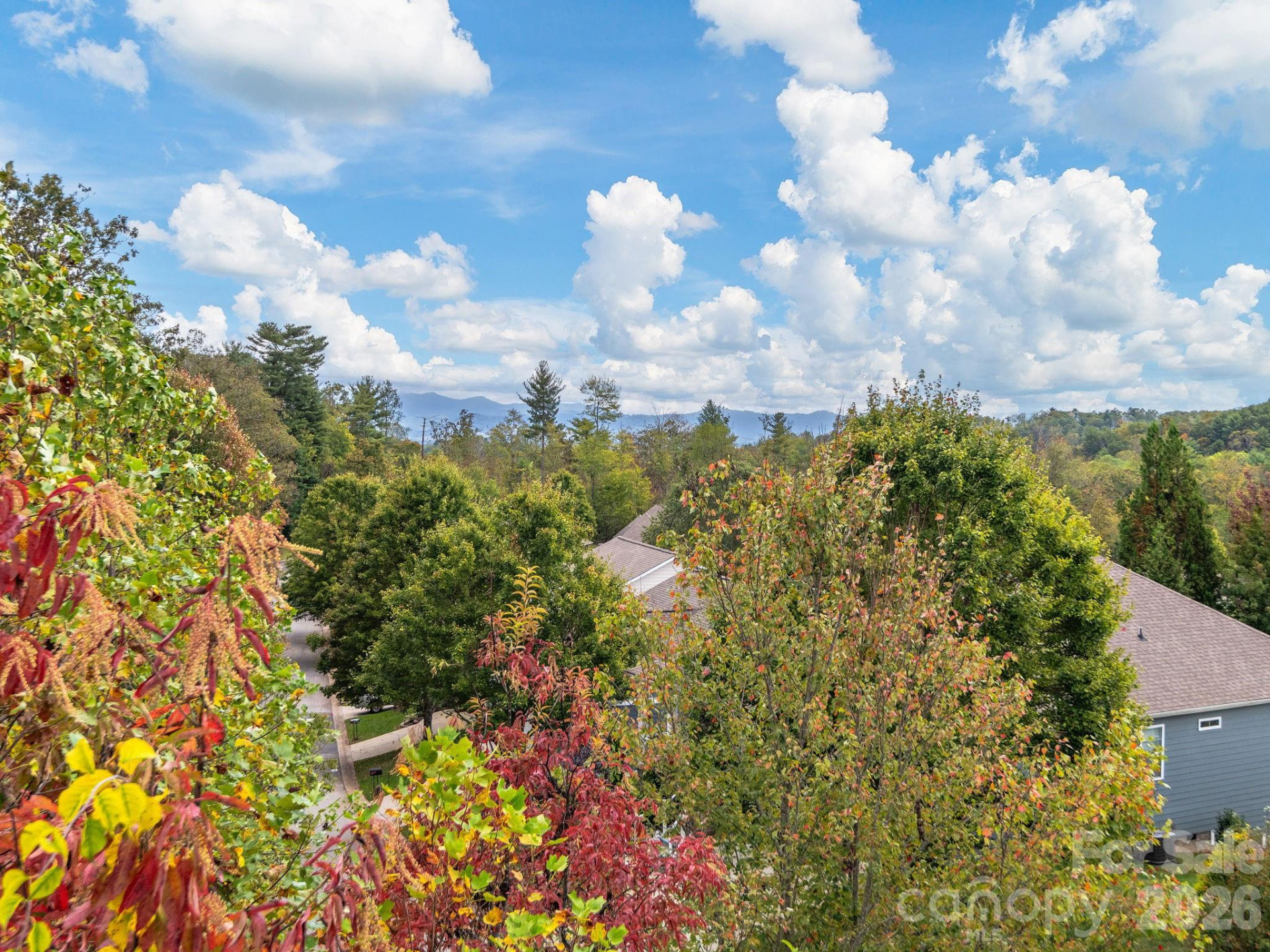 78 Rose Creek Road - Photo 31