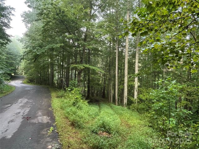 100 Lindon Cove Road, Candler, NC, 28715