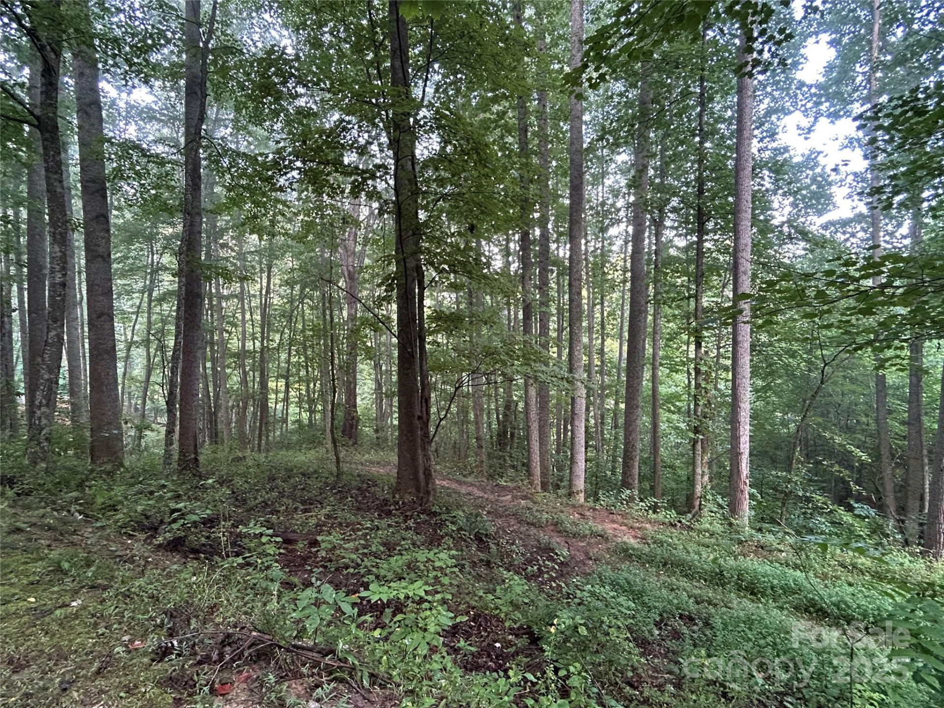 100 Lindon Cove Road #35, 36 - Photo 2