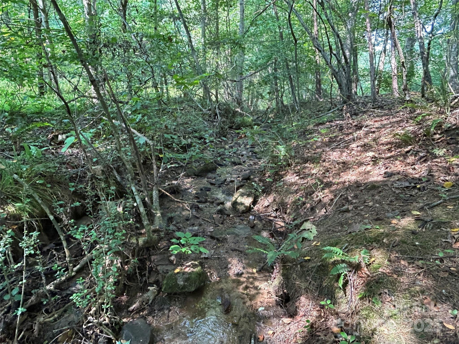 100 Lindon Cove Road #35, 36 - Photo 11