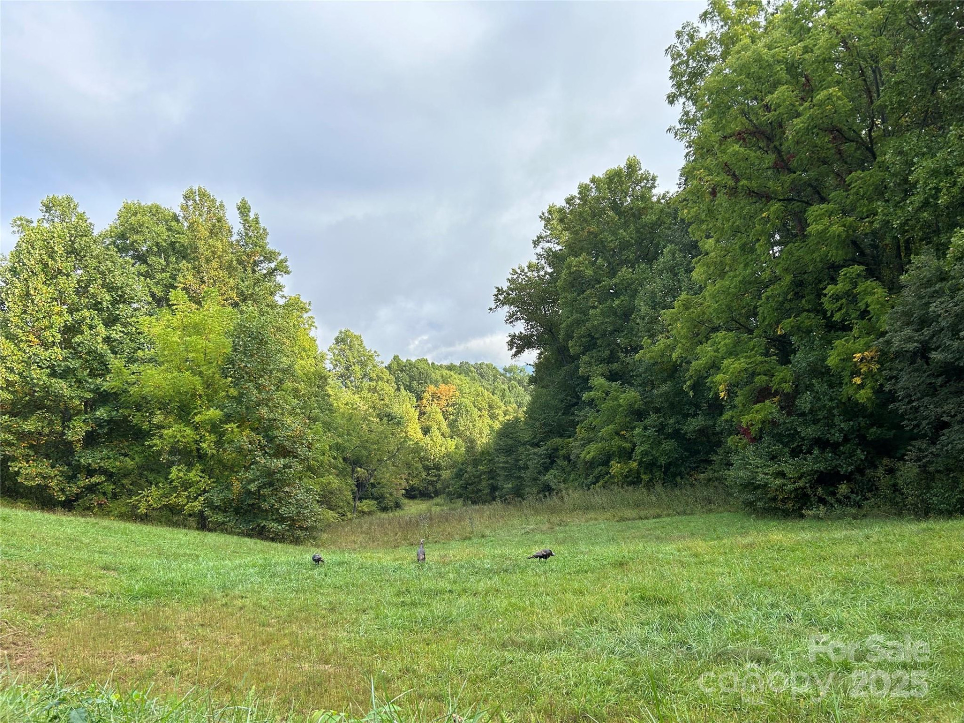 100 Lindon Cove Road #35, 36 - Photo 15