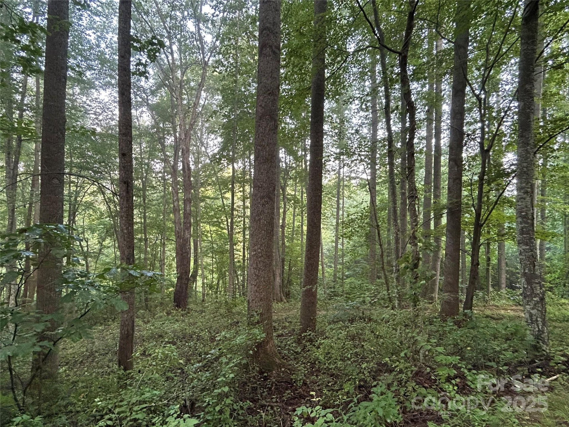 100 Lindon Cove Road #35, 36 - Photo 3