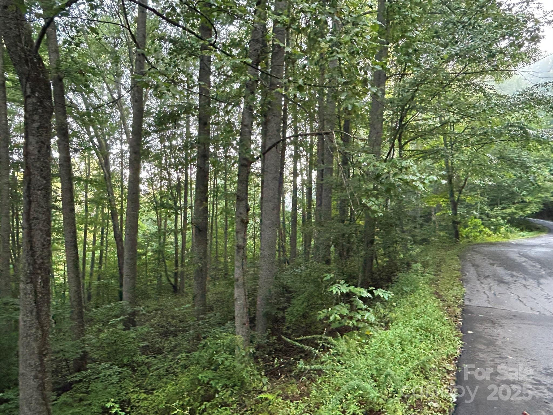 100 Lindon Cove Road #35, 36 - Photo 4