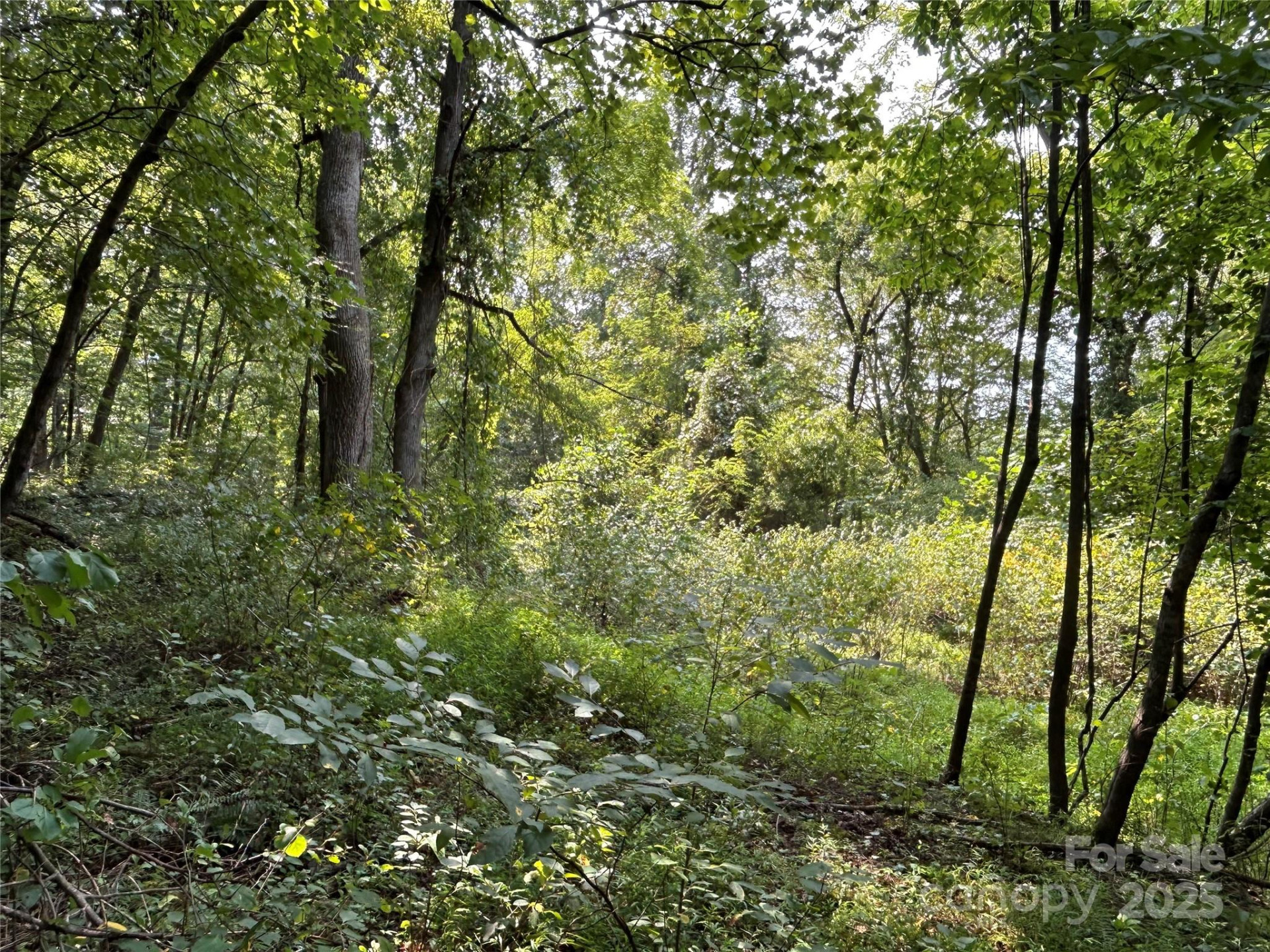 100 Lindon Cove Road #35, 36 - Photo 5