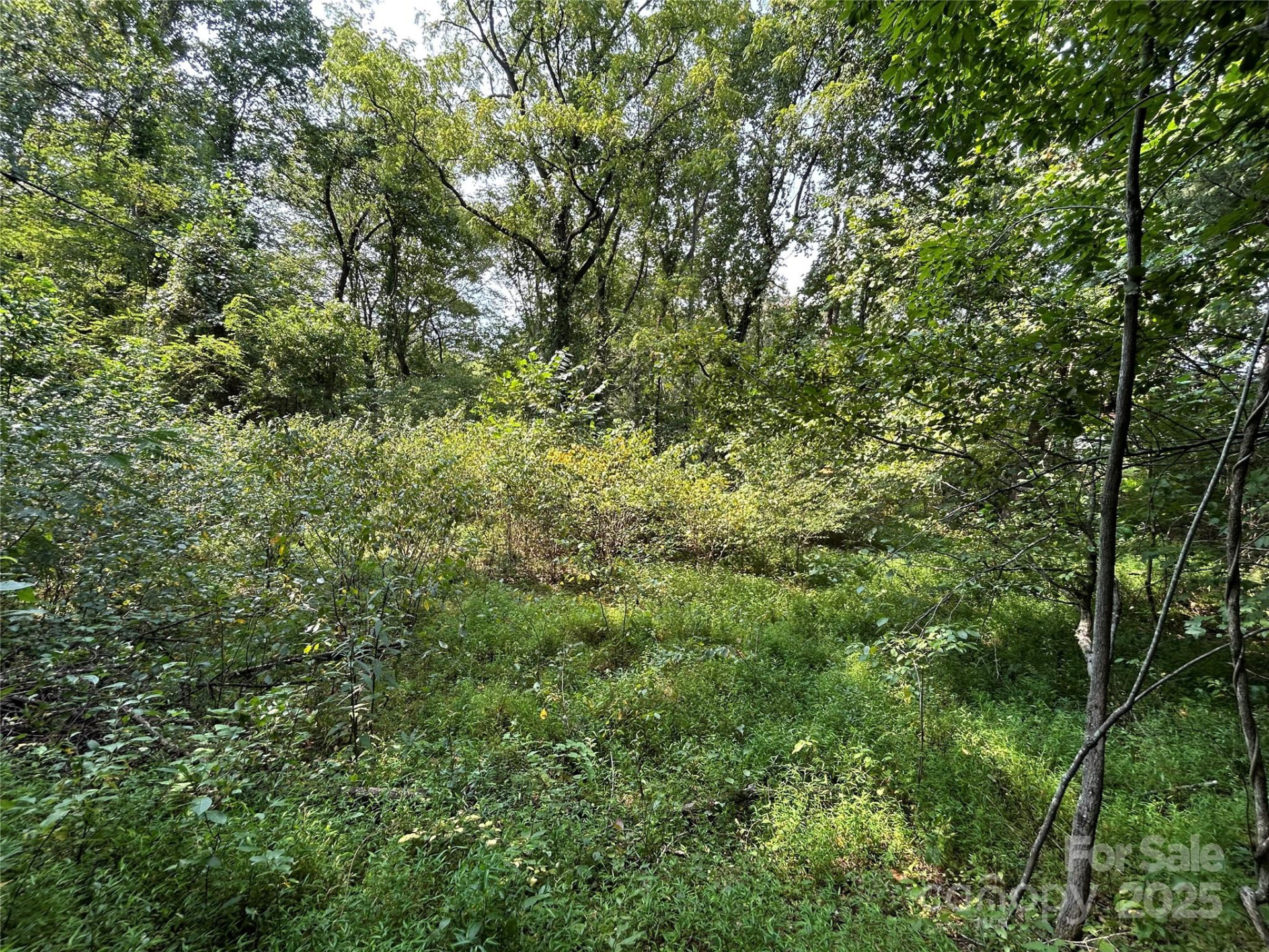 100 Lindon Cove Road #35, 36 - Photo 6