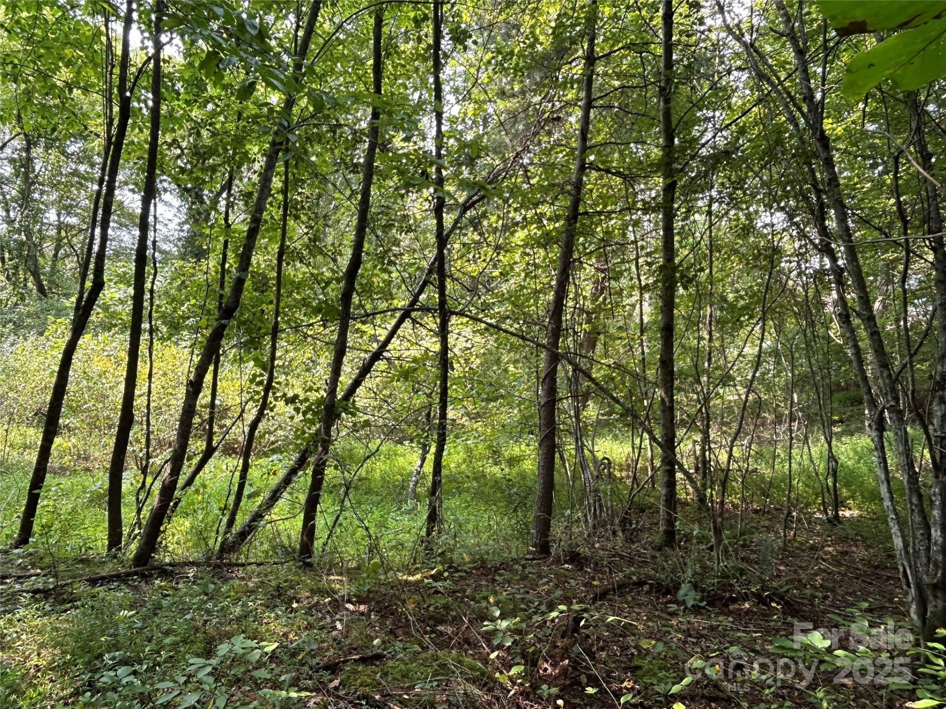 100 Lindon Cove Road #35, 36 - Photo 7