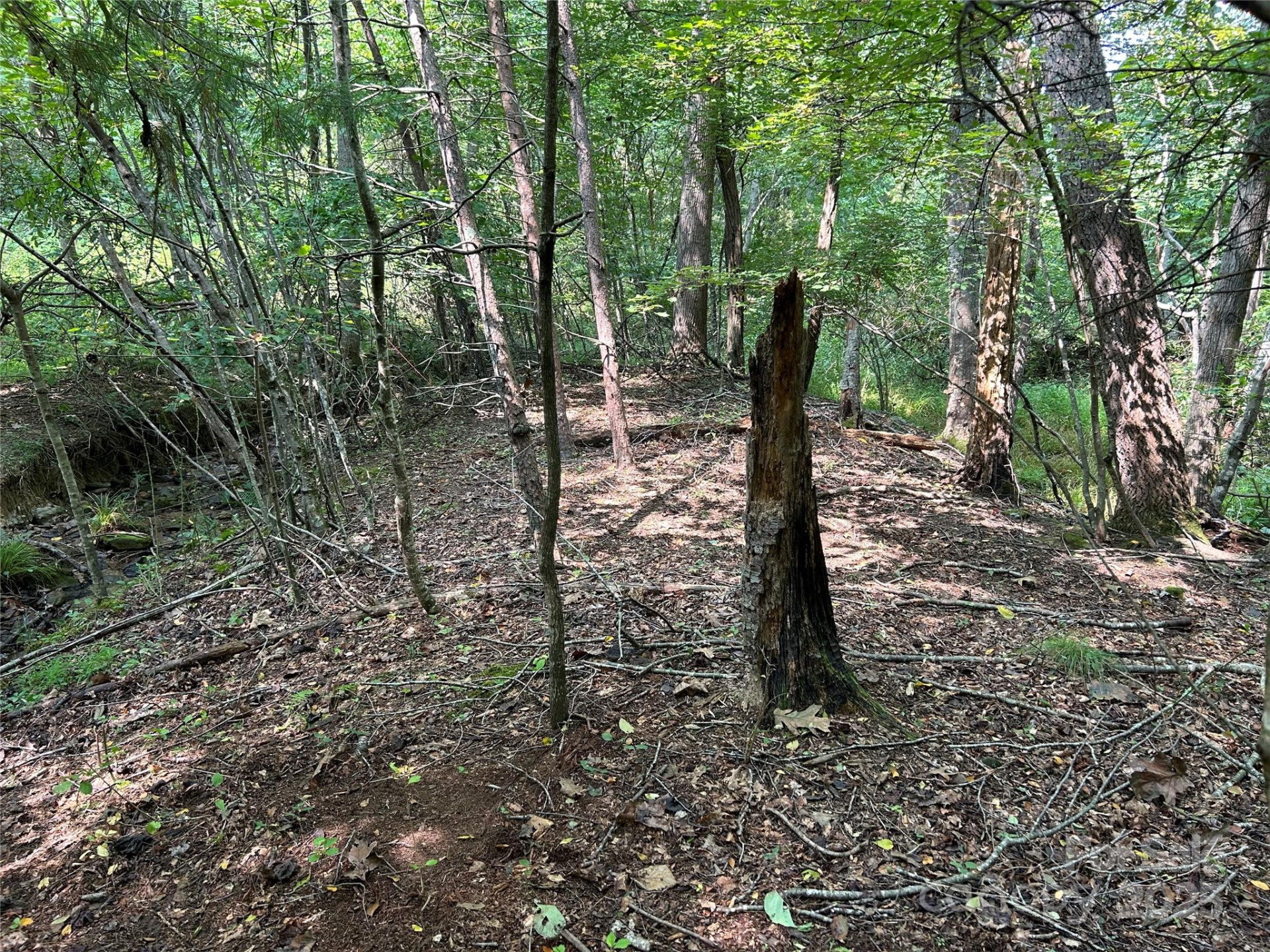 100 Lindon Cove Road #35, 36 - Photo 8