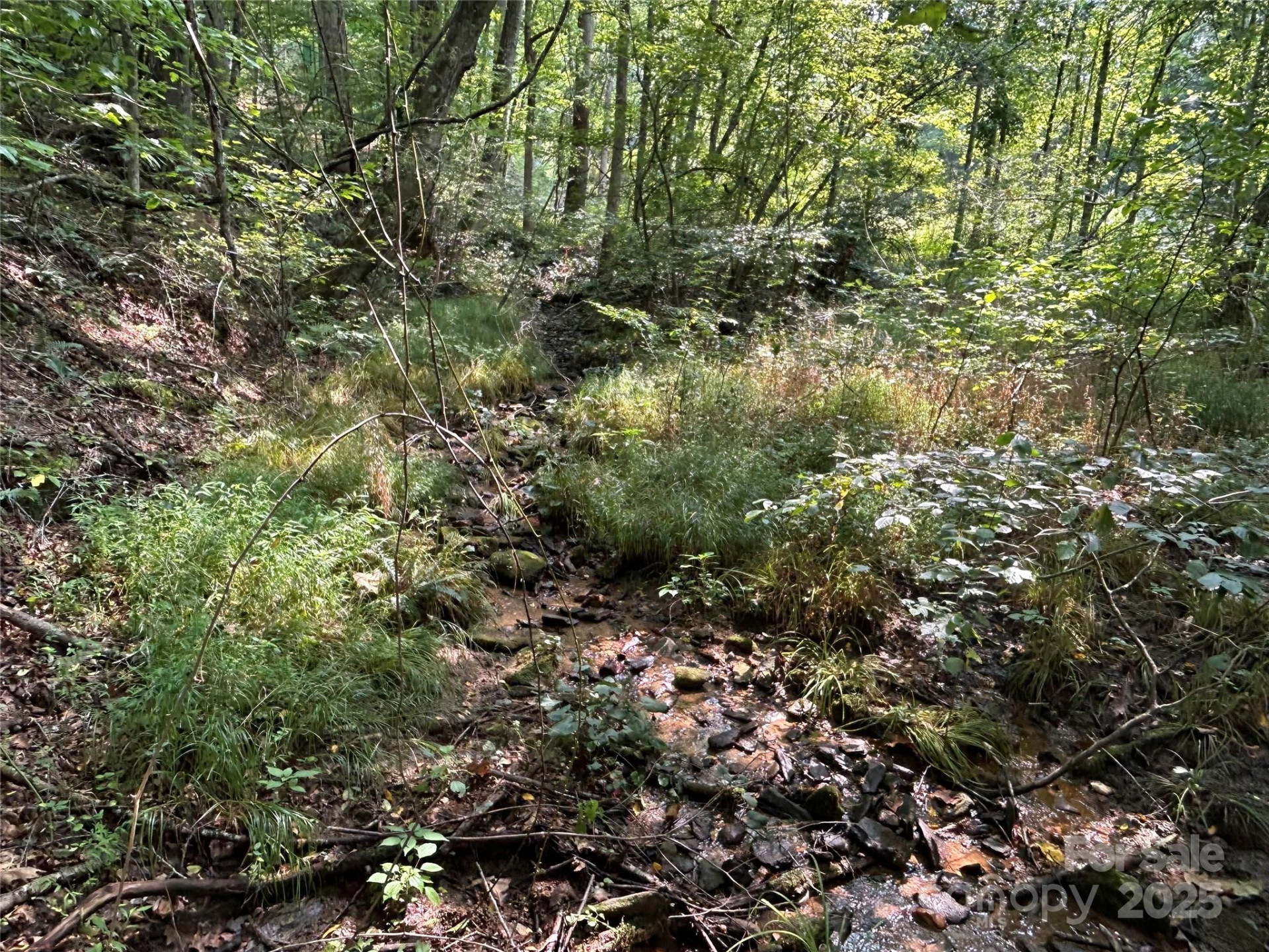 100 Lindon Cove Road #35, 36 - Photo 9