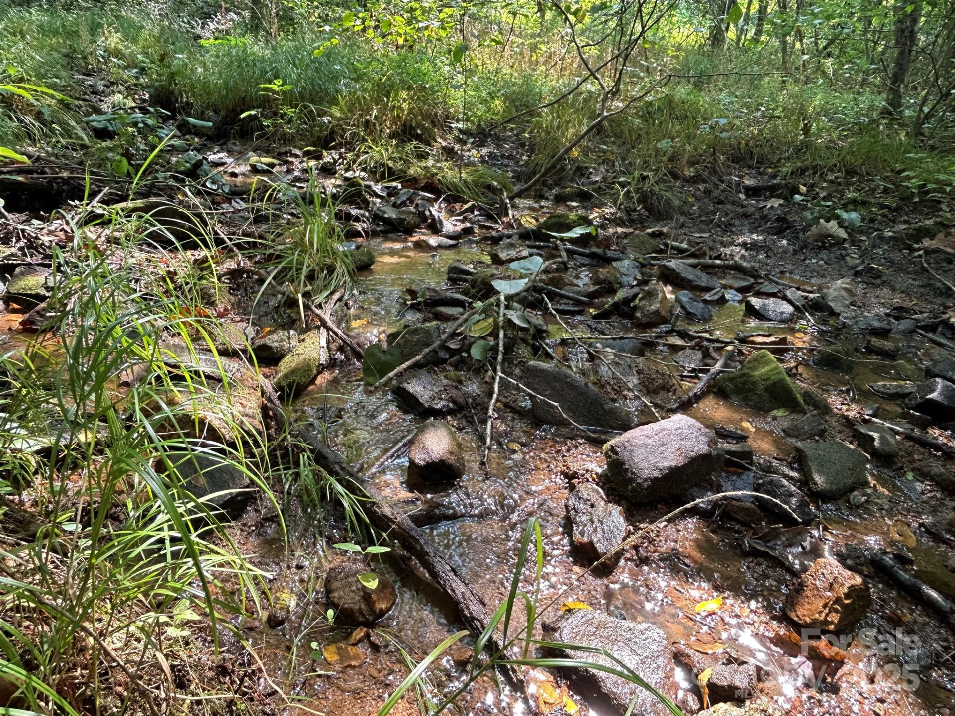 100 Lindon Cove Road #35, 36 - Photo 10