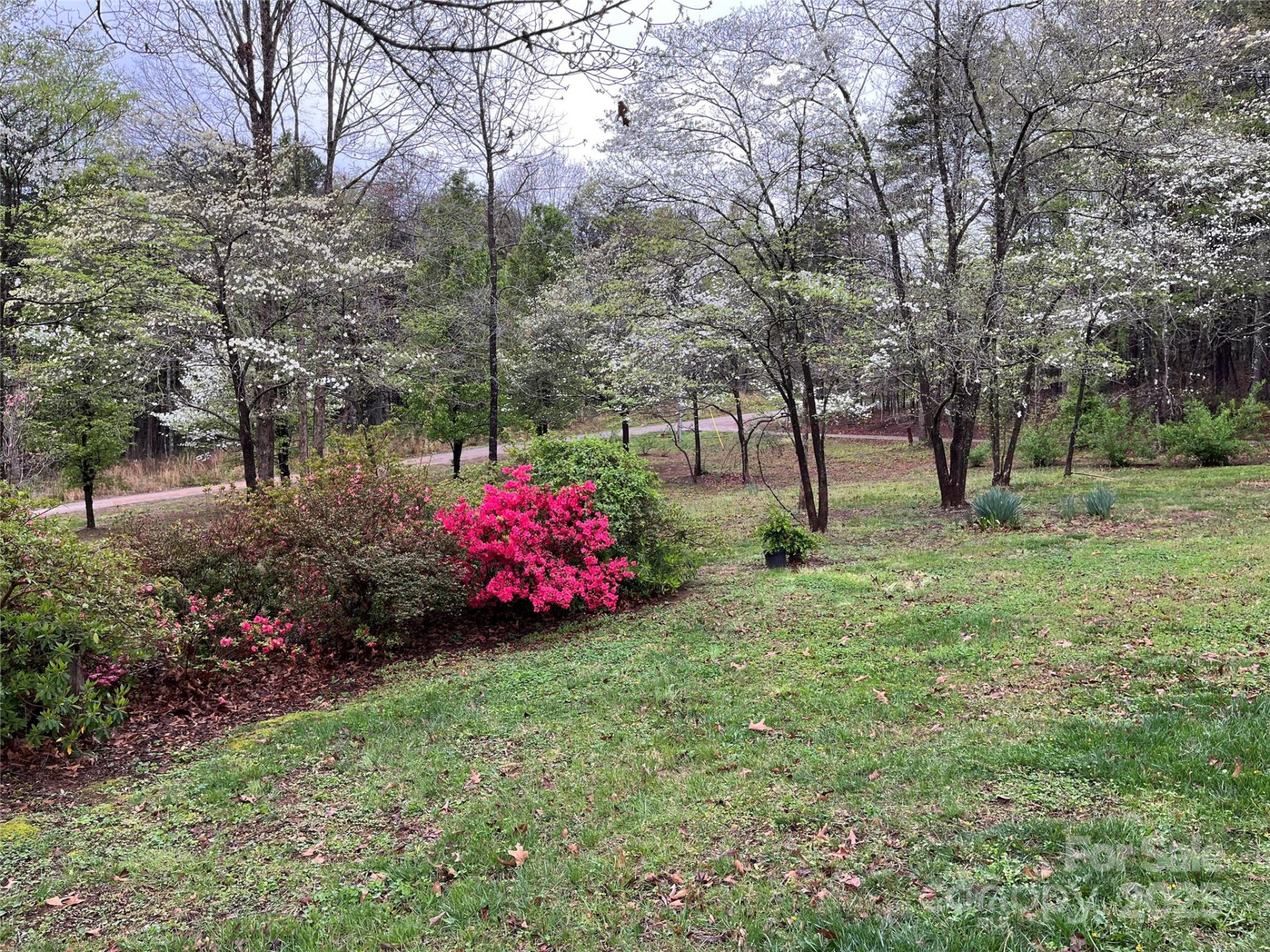 3991 Silver Creek Terrace - Photo 2