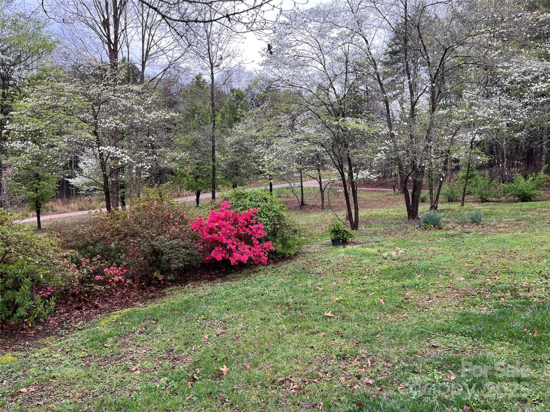 3991 Silver Creek Terrace - Photo 2