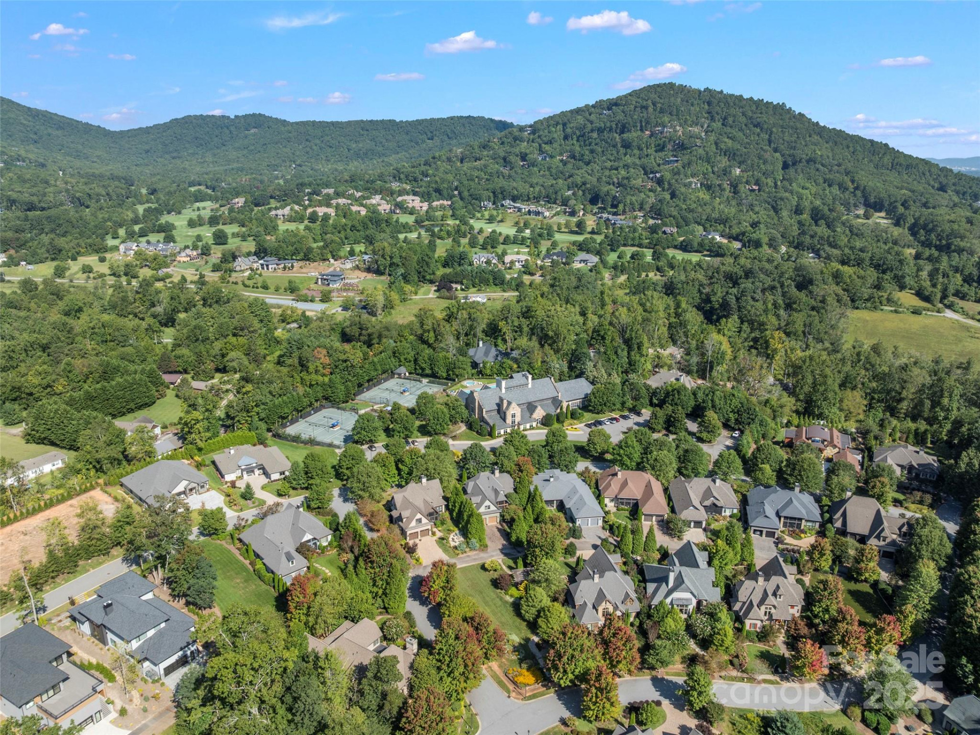 62 Running Creek Trail - Photo 48
