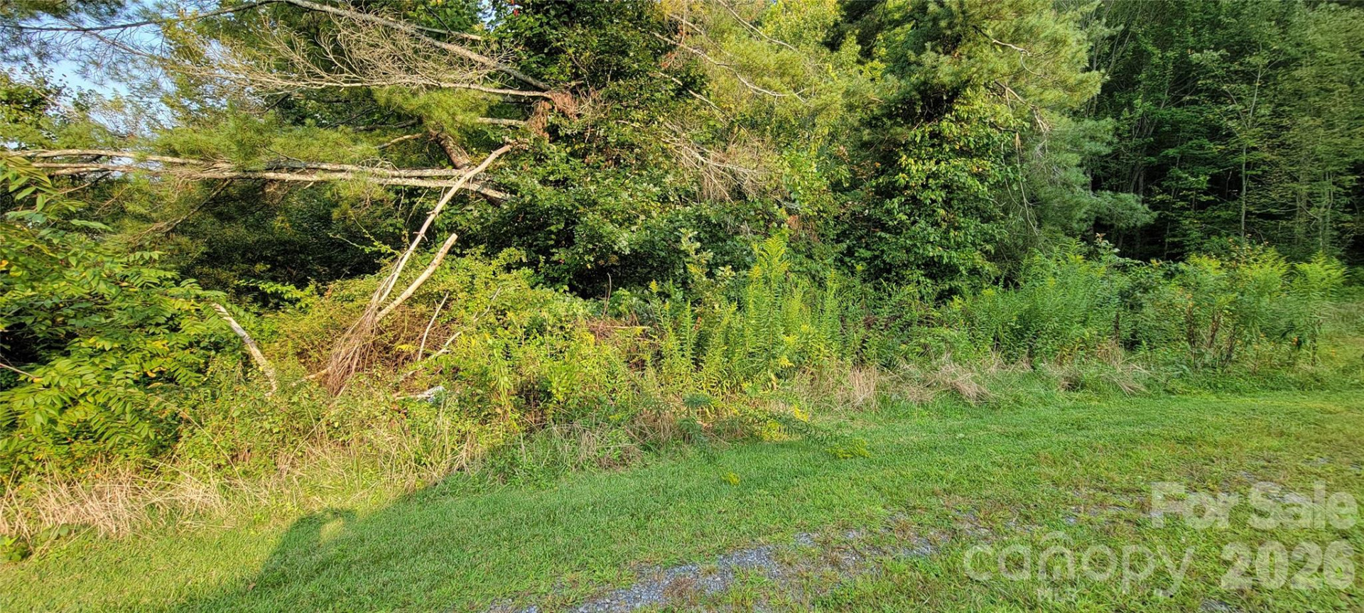 3201 Dellwood Road - Photo 6