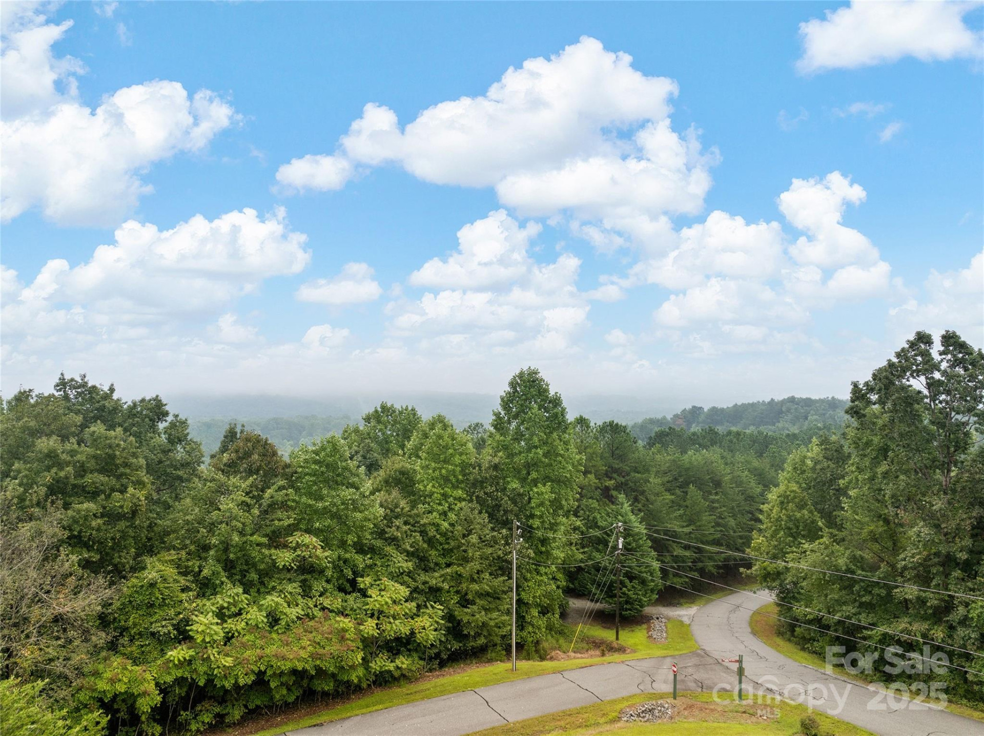352 Arbra Mountain Way - Photo 11