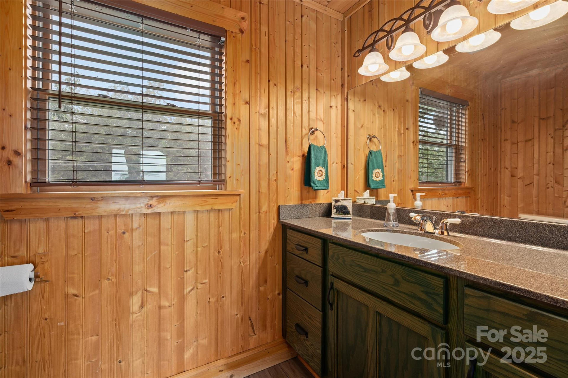 352 Arbra Mountain Way - Photo 21