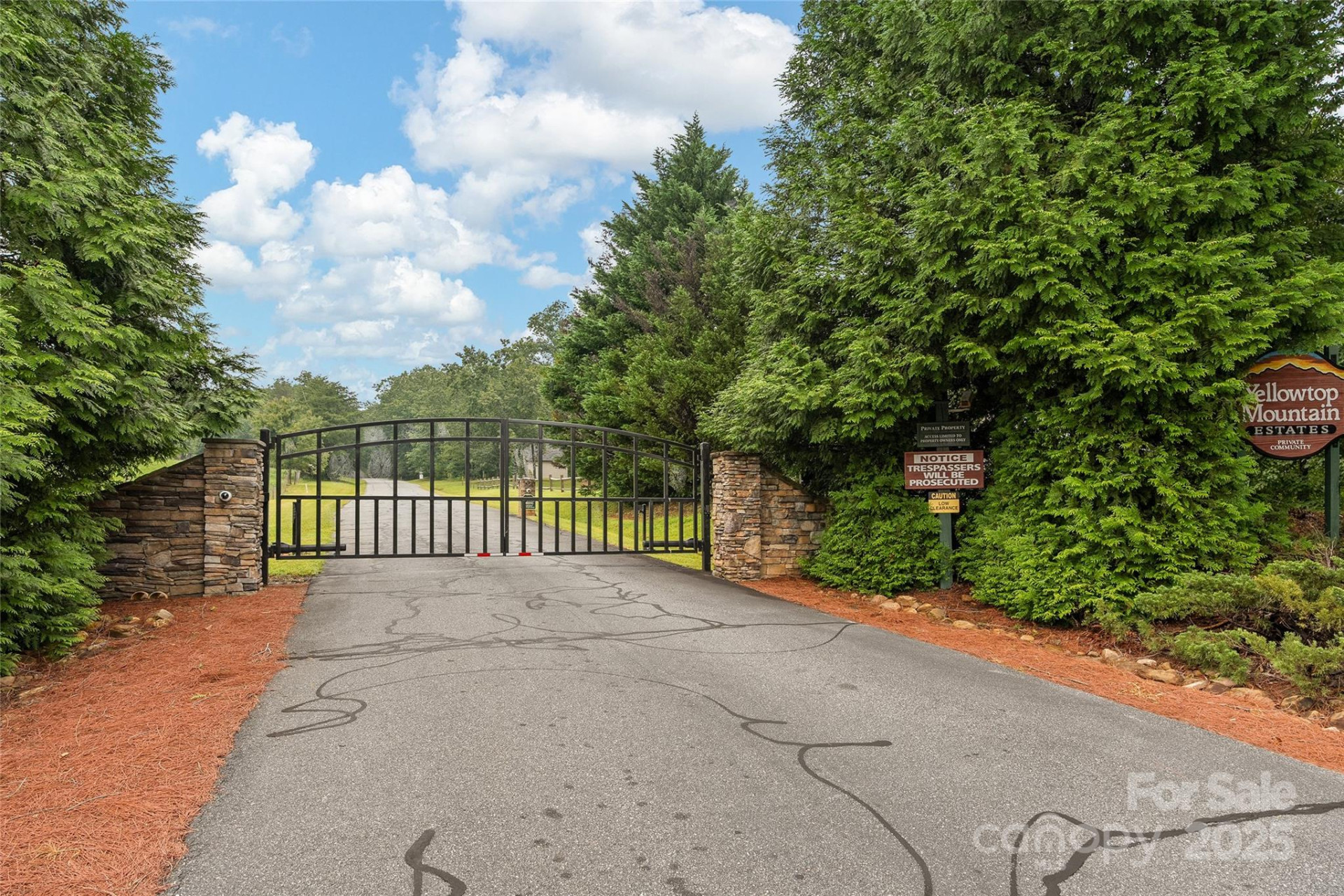 352 Arbra Mountain Way - Photo 31