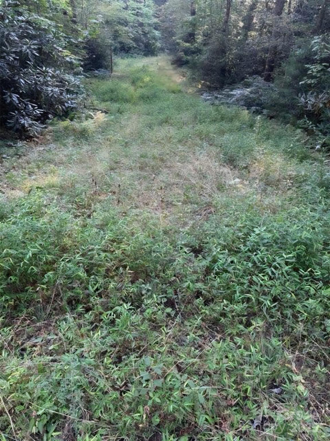 00 Beaumont Drive - Photo 3