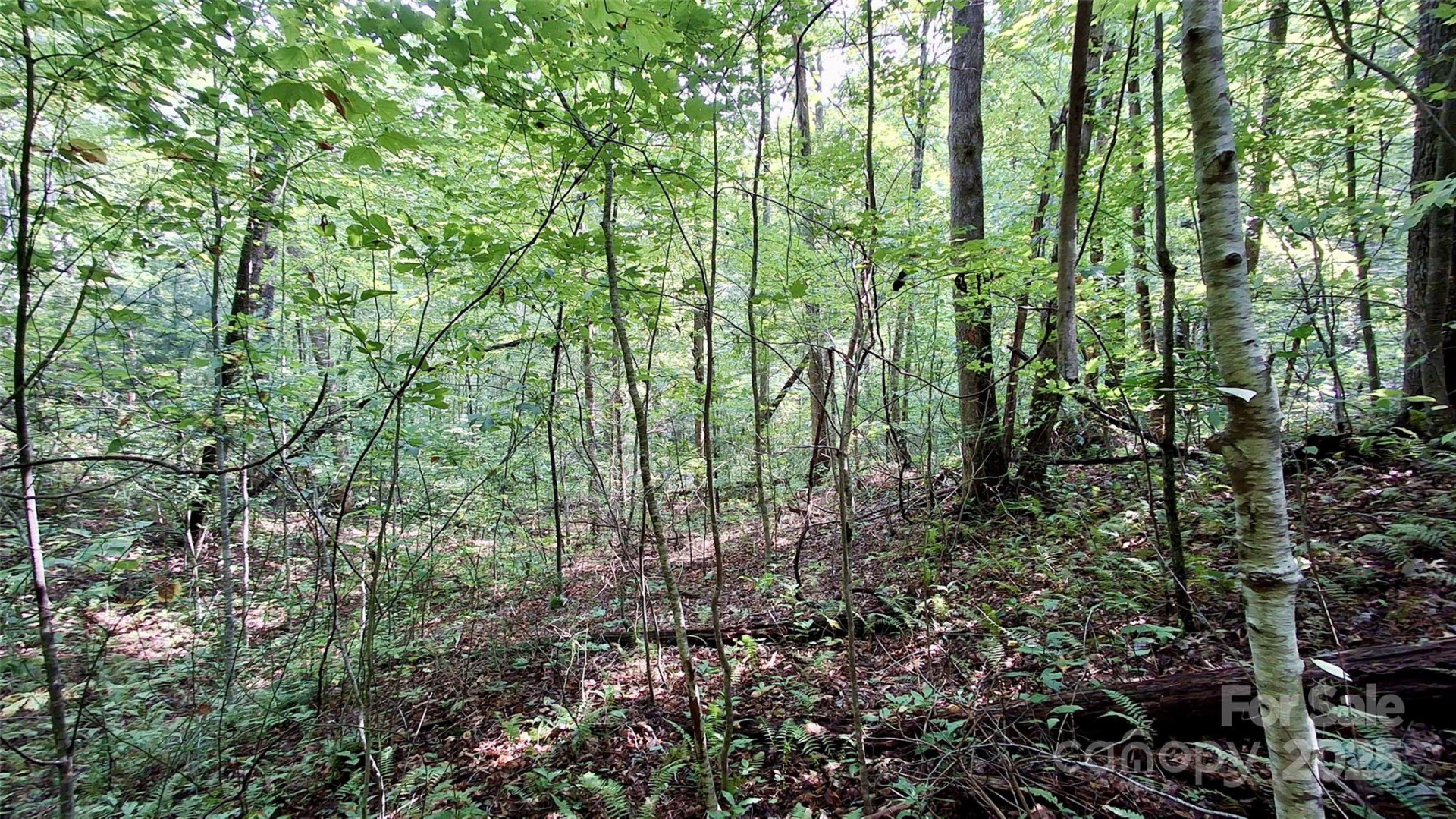 0 Cross Creek Circle