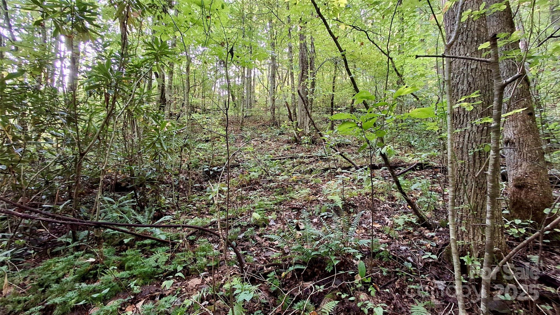 0 Cross Creek Circle - Photo 2