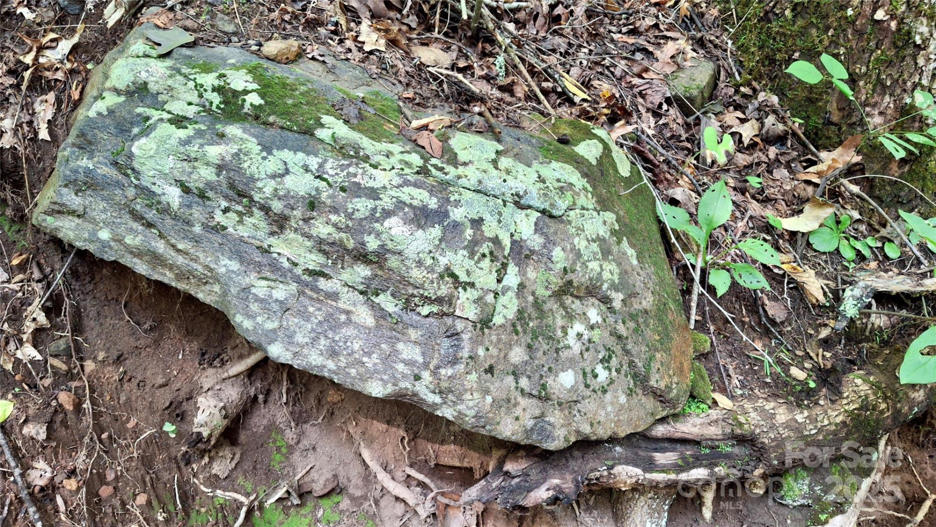 0 Cross Creek Circle - Photo 12