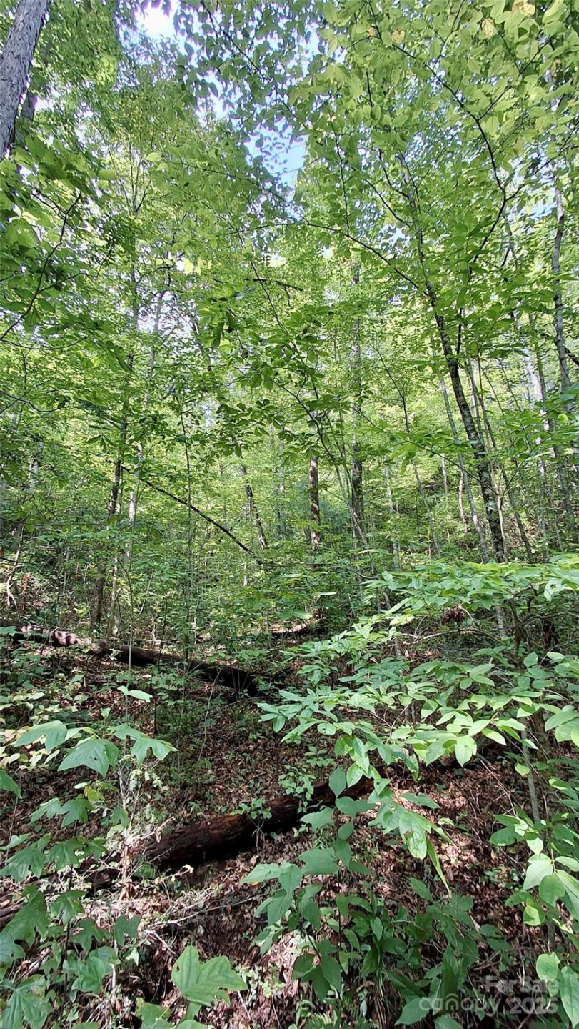 0 Cross Creek Circle - Photo 17