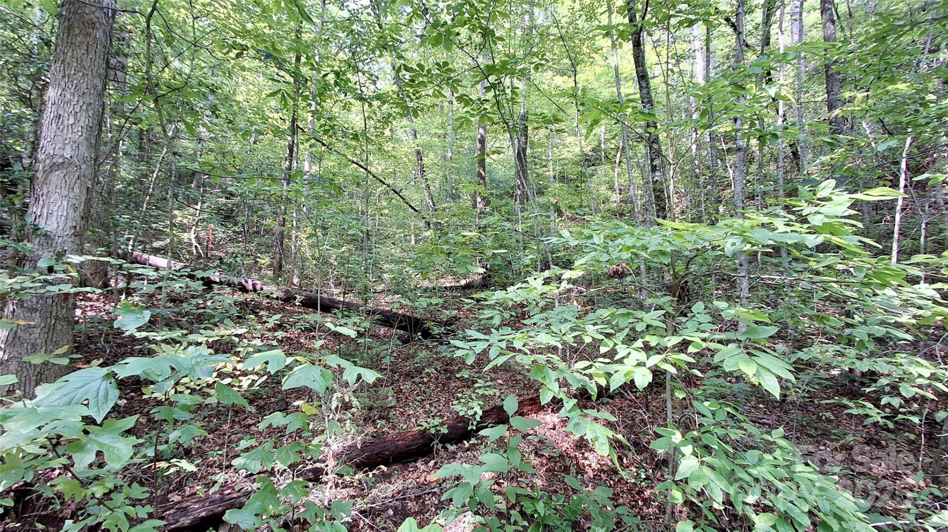 0 Cross Creek Circle - Photo 18