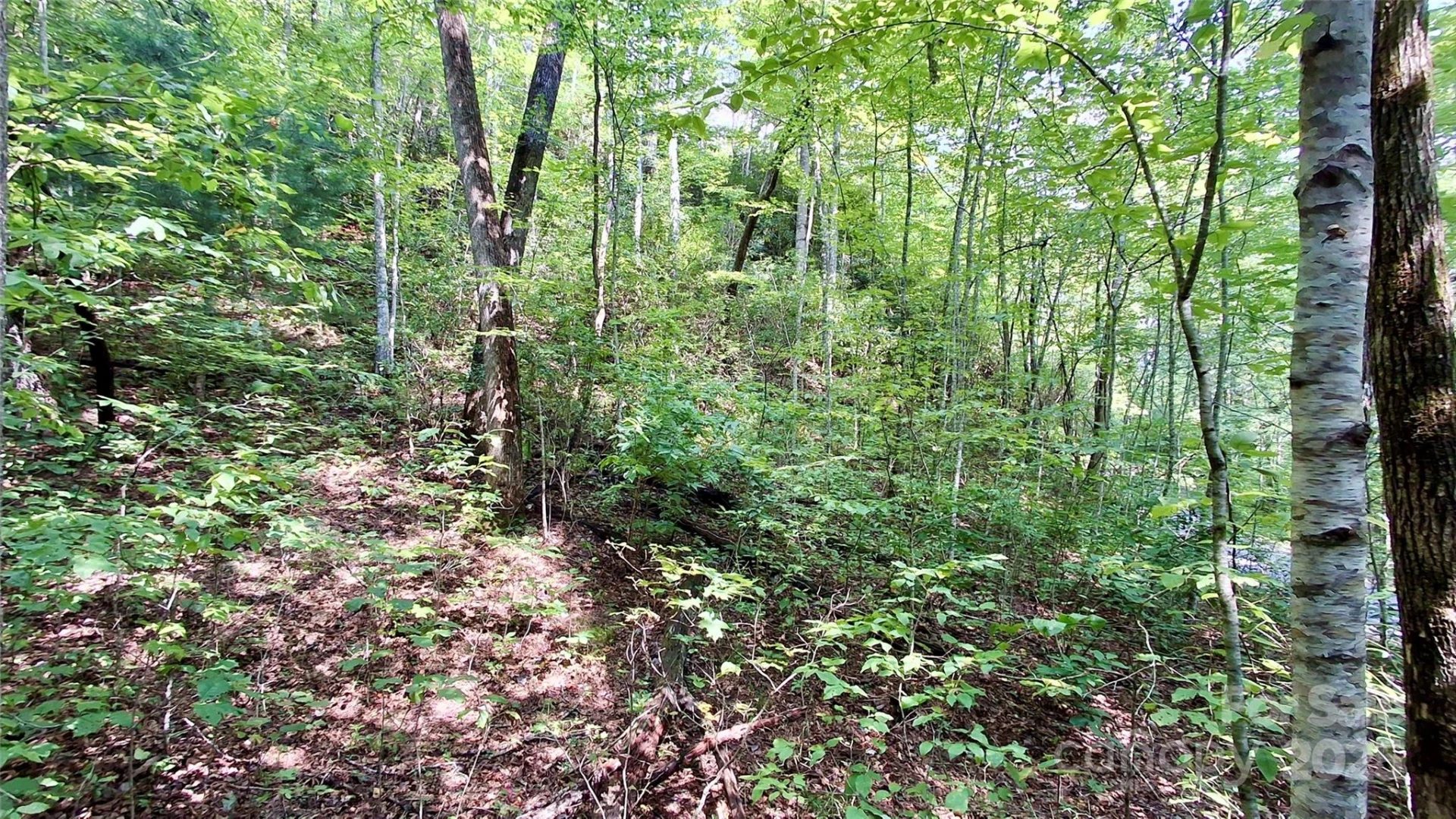 0 Cross Creek Circle - Photo 20